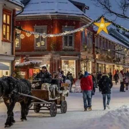 Appartement Flora Lillehammer